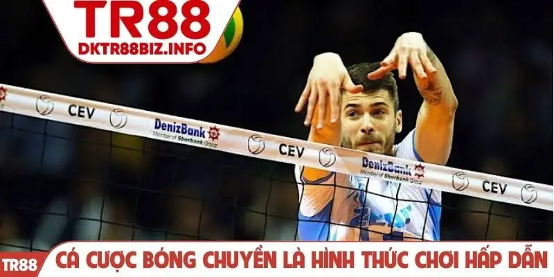 Cá cược bóng chuyền là hình thức chơi hấp dẫn