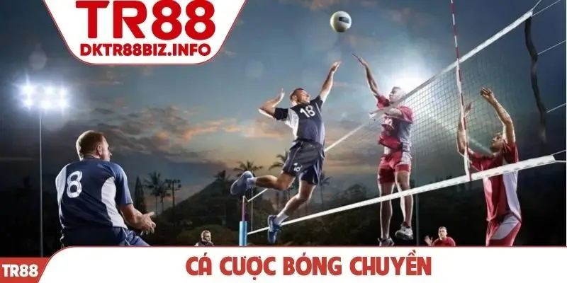 Cá cược bóng chuyền