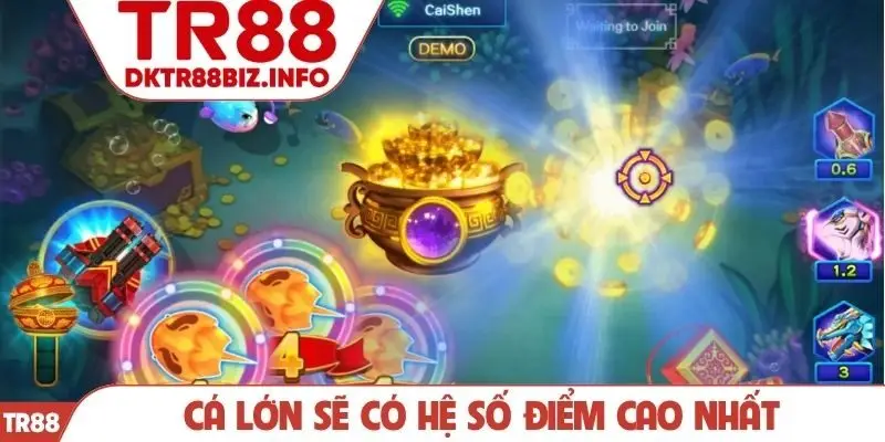 Cá lớn sẽ có hệ số điểm cao nhất