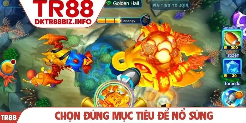 Chọn đúng mục tiêu để nổ súng