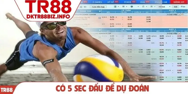 Có 5 sec đấu để dự đoán