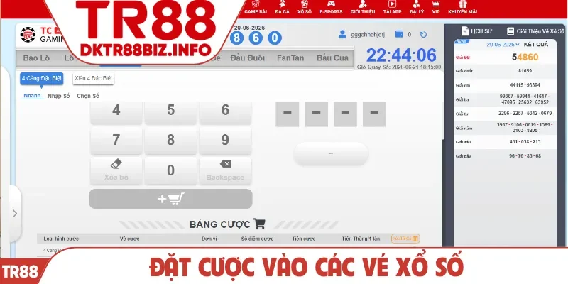 Đặt cược vào các vé xổ số