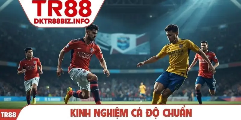 Kinh nghiệm cá độ chuẩn