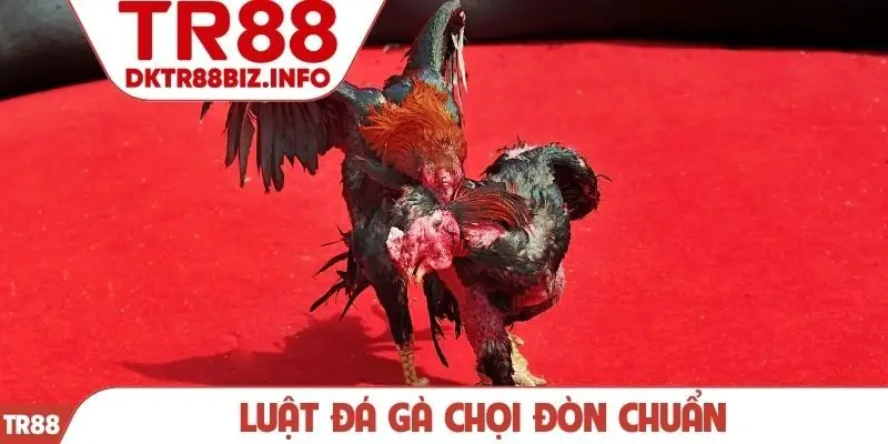 Luật đá gà chọi đòn chuẩn