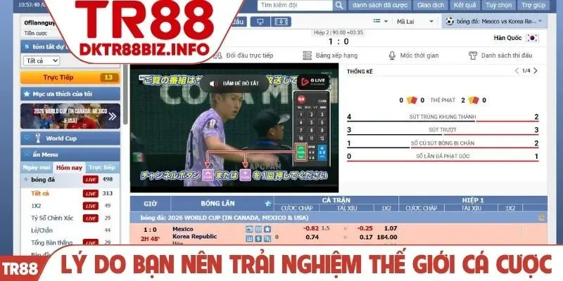 Lý do bạn nên trải nghiệm thế giới cá cược