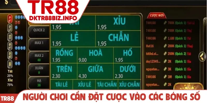 Người chơi cần đặt cược vào các bóng số