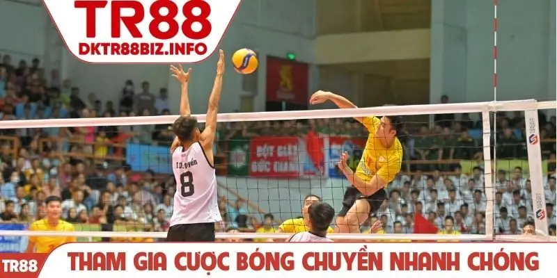 Tham gia cược bóng chuyền nhanh chóng