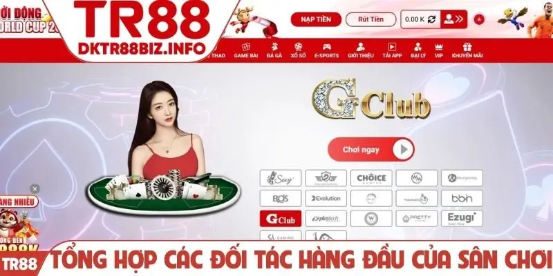 Tổng hợp các đối tác hàng đầu của sân chơi
