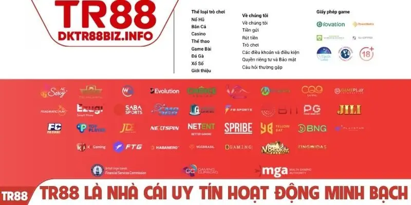 TR88 là nhà cái uy tín hoạt động minh bạch